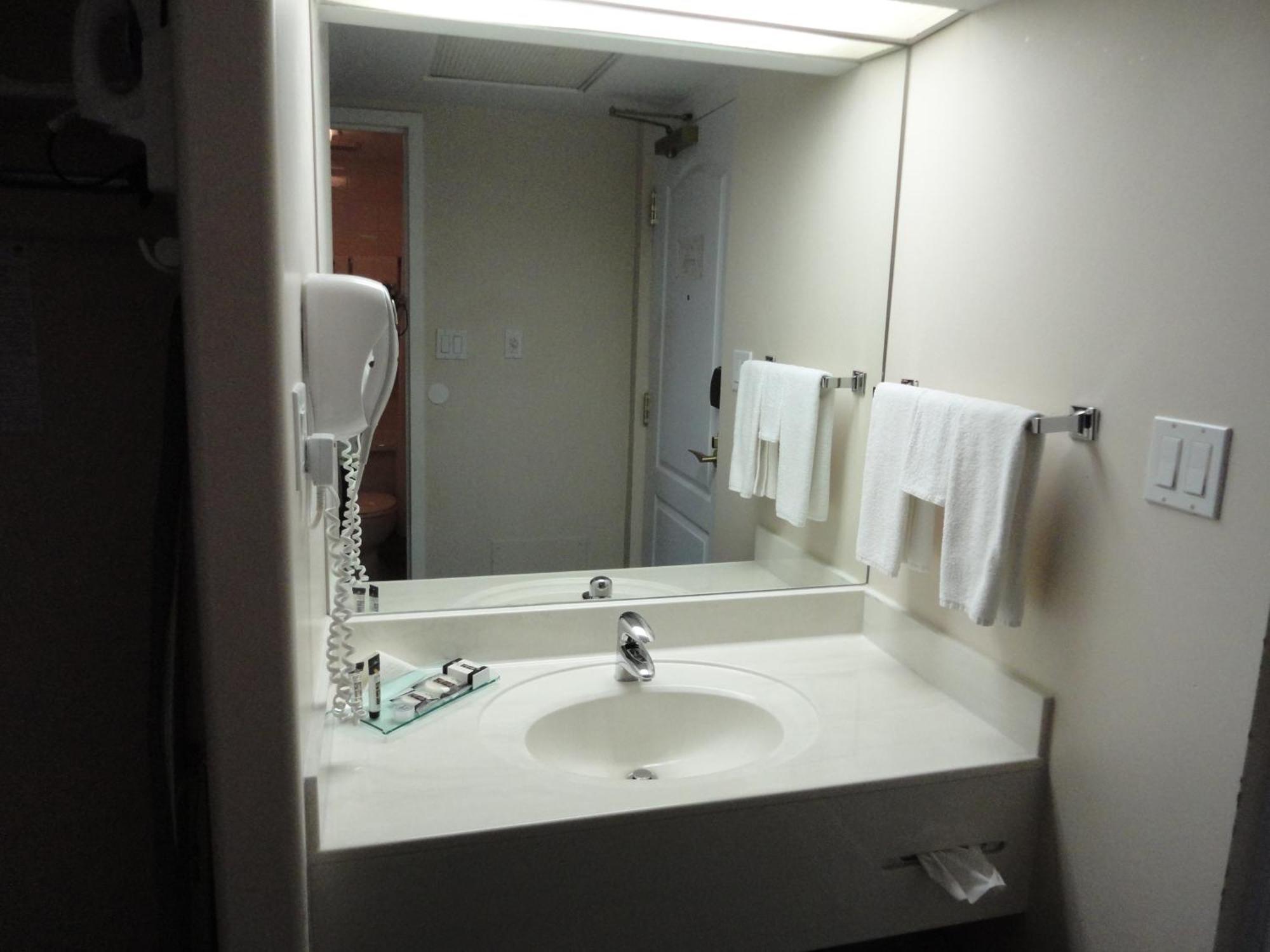 Chateau Louis Hotel&Conference Centre Edmonton Extérieur photo